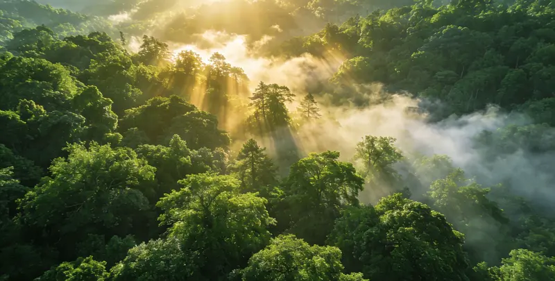 扬州肺癌8基因突变检测（组织）图片1