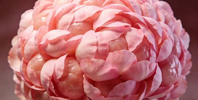 扬州BRCA1/2乳腺癌卵巢癌基因检测图片1