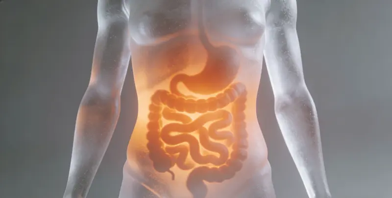 扬州胃癌靶向用药39基因检测及PDL122C3表达检测套餐（组织）图片1